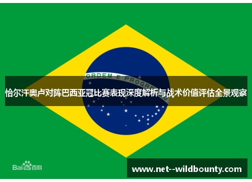 恰尔汗奥卢对阵巴西亚冠比赛表现深度解析与战术价值评估全景观察