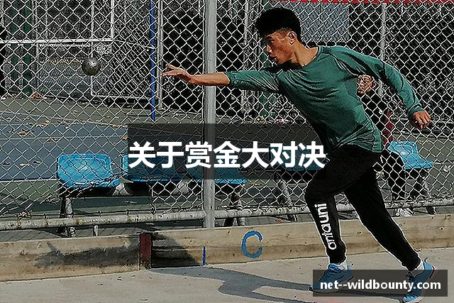 关于赏金大对决